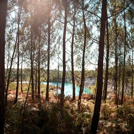 Апартаменты Barque Fleurie Esprit Retro, Jardin & Parking Prive