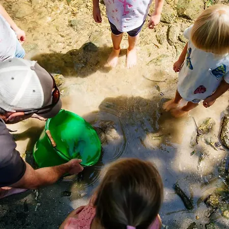 Barque Fleurie Esprit Retro, Jardin & Parking Prive Апартаменты