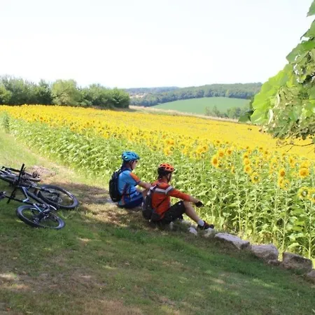Barque Fleurie Avec Jardin Apartment Aubeterre-sur-Dronne