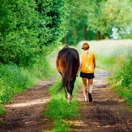 Barque Fleurie Esprit Retro, Jardin & Parking Prive