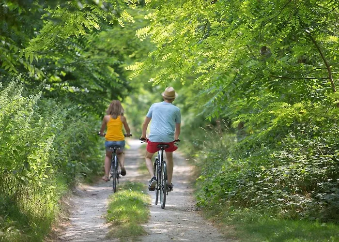 Barque Fleurie Esprit Rétro, Jardin&parking Privé Apartamento Aubeterre-sur-Dronne